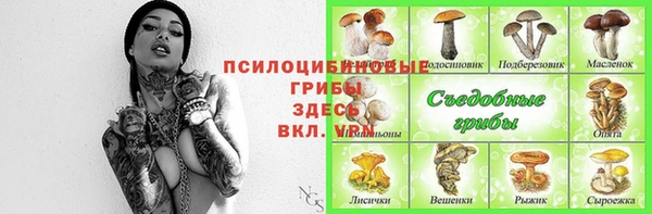 дмт Алексин