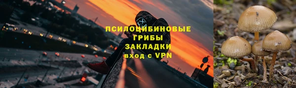 герыч Алзамай
