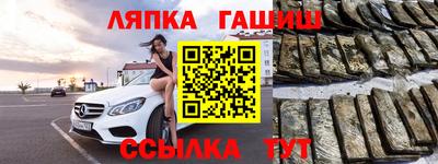 прущие грибы Тверь