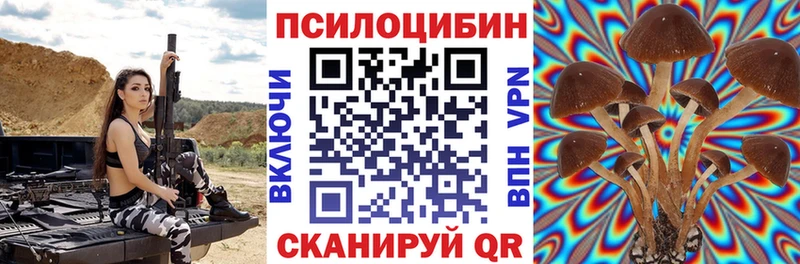 Галлюциногенные грибы Psilocybe  купить наркоту  Алушта 