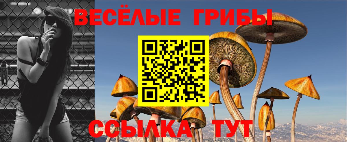 Псилоцибиновые грибы прущие грибы  Галлюциногенные грибы мицелий  Вход с VPN  Алушта 