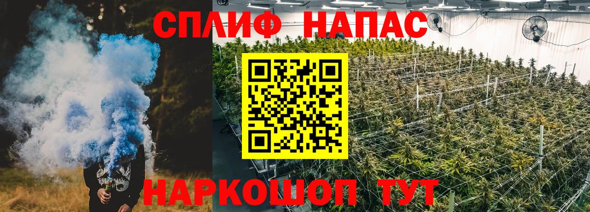 Конопля гибрид Алушта